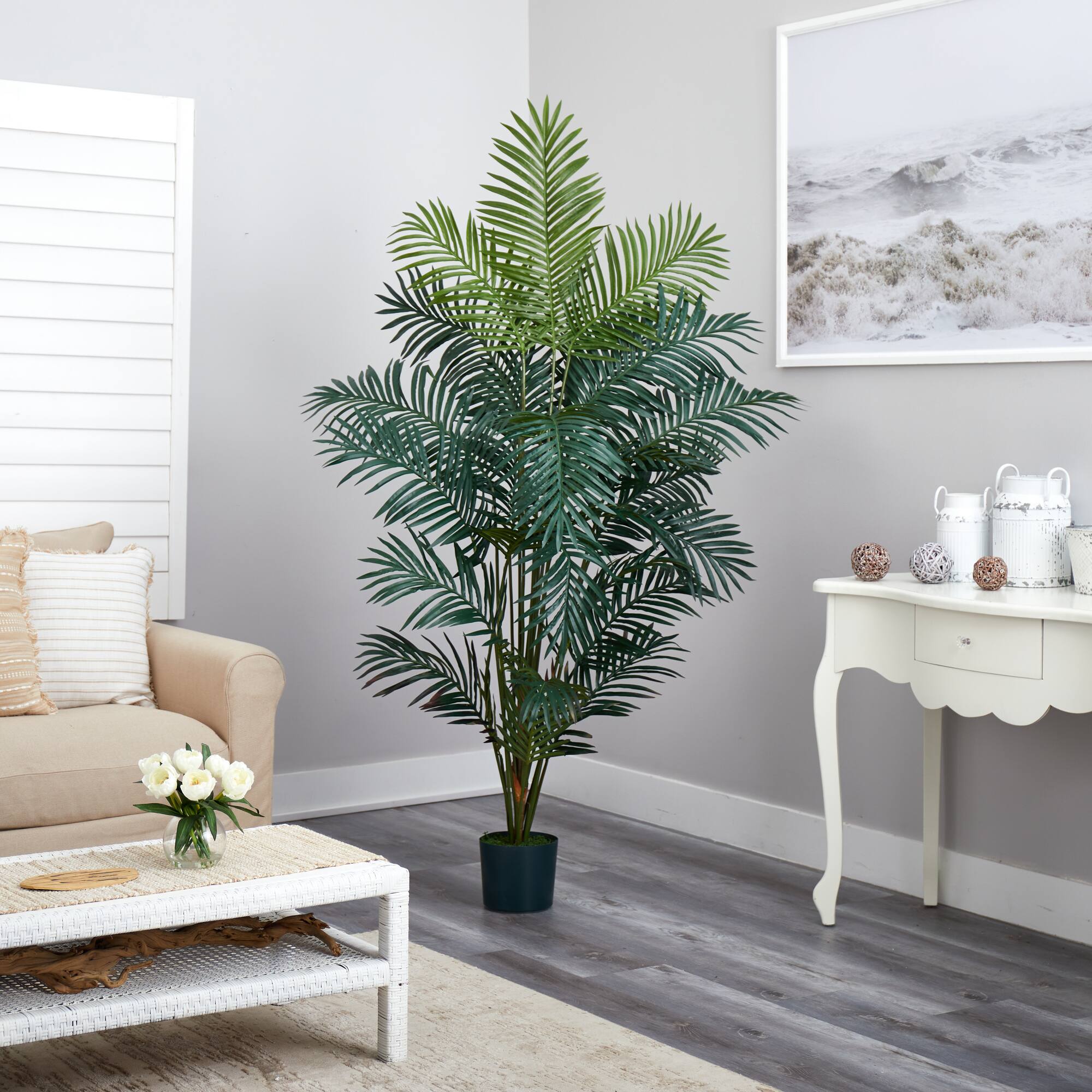 7ft. Potted Paradise Palm